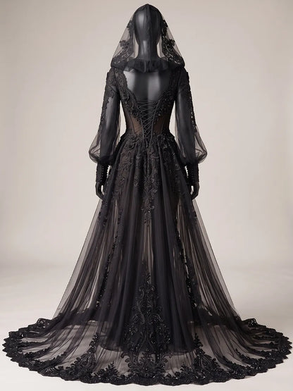 Womens V Neck Sheer Corset Hooded Tulle Embroidered Train Maxi Gown
